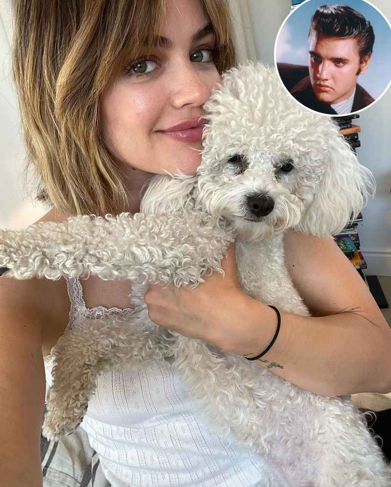 Celebrity Pets That Are Named After Other Stars