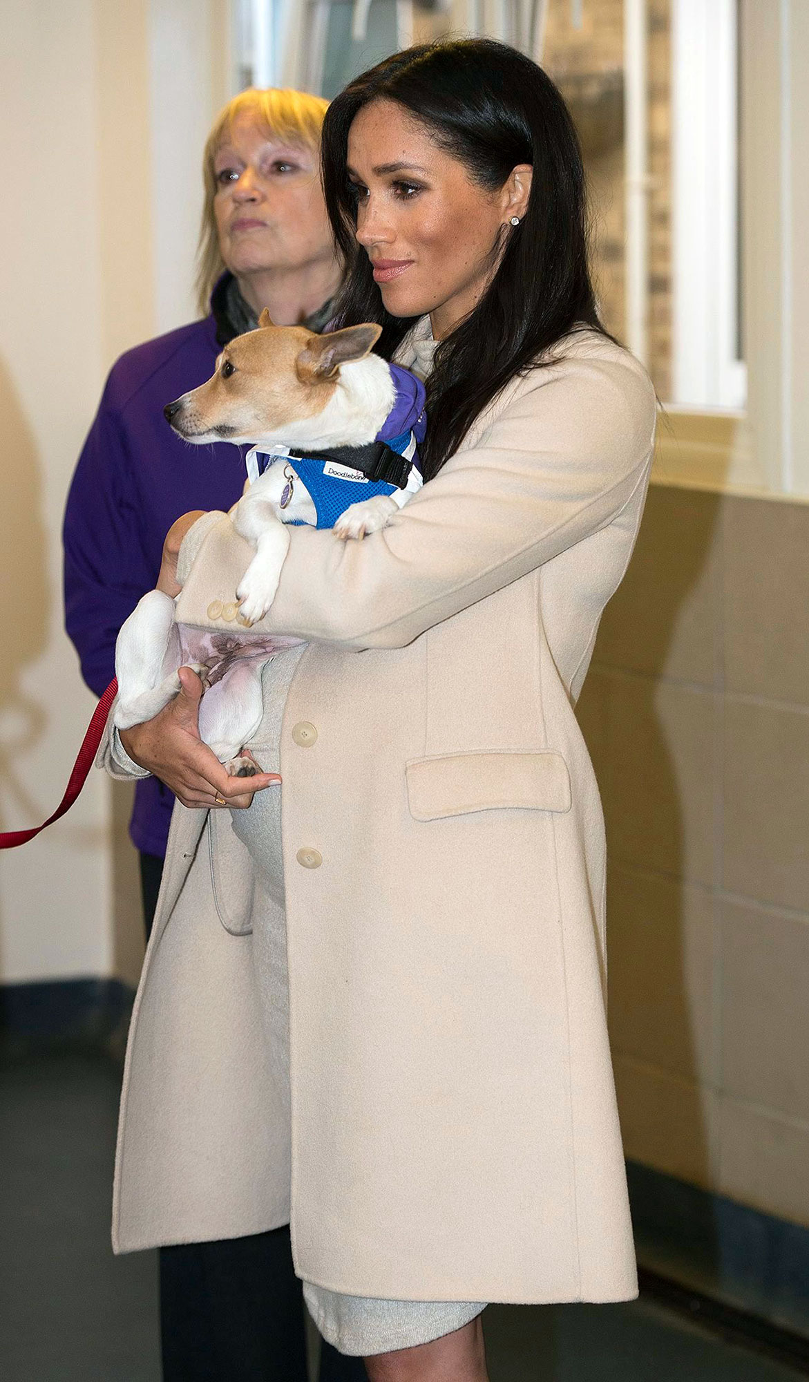 Adorable Expectant Celebrity Moms Embracing Their Cherished Pets During Pregnancy: Olivia Munn, Sharna Burgess, and More