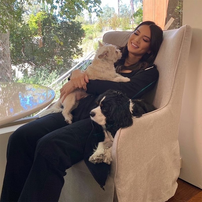 Expectant Celebrity Moms Cuddling Up With Beloved Pets Amid Pregnancy