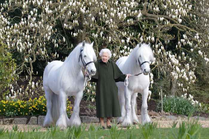 Queen Elizabeth II Horses Pony Birthday