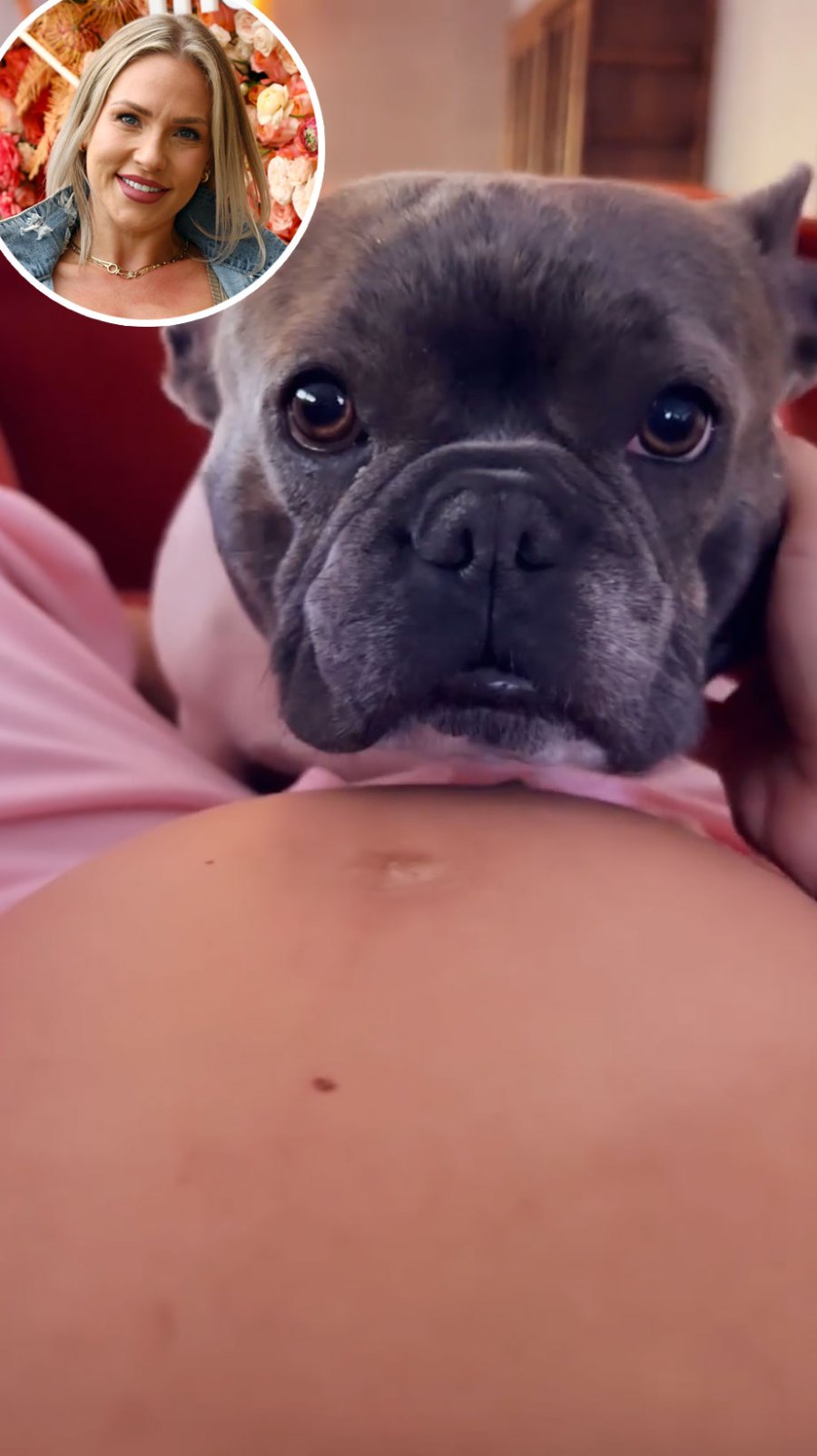 Expectant Celebrity Moms Cuddling Up With Beloved Pets Amid Pregnancy