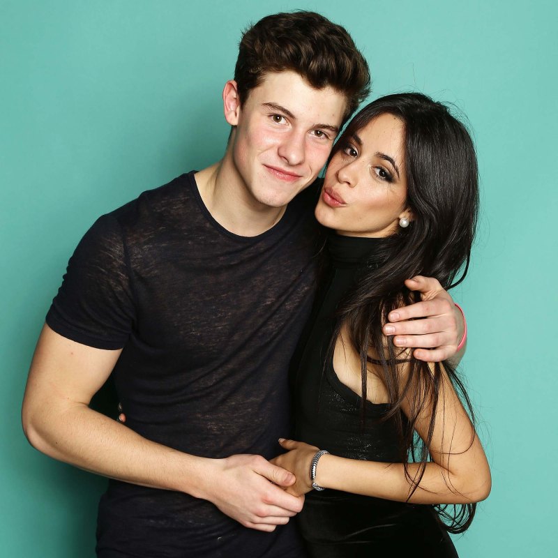 Shawn Camila Quotes About Breakup
