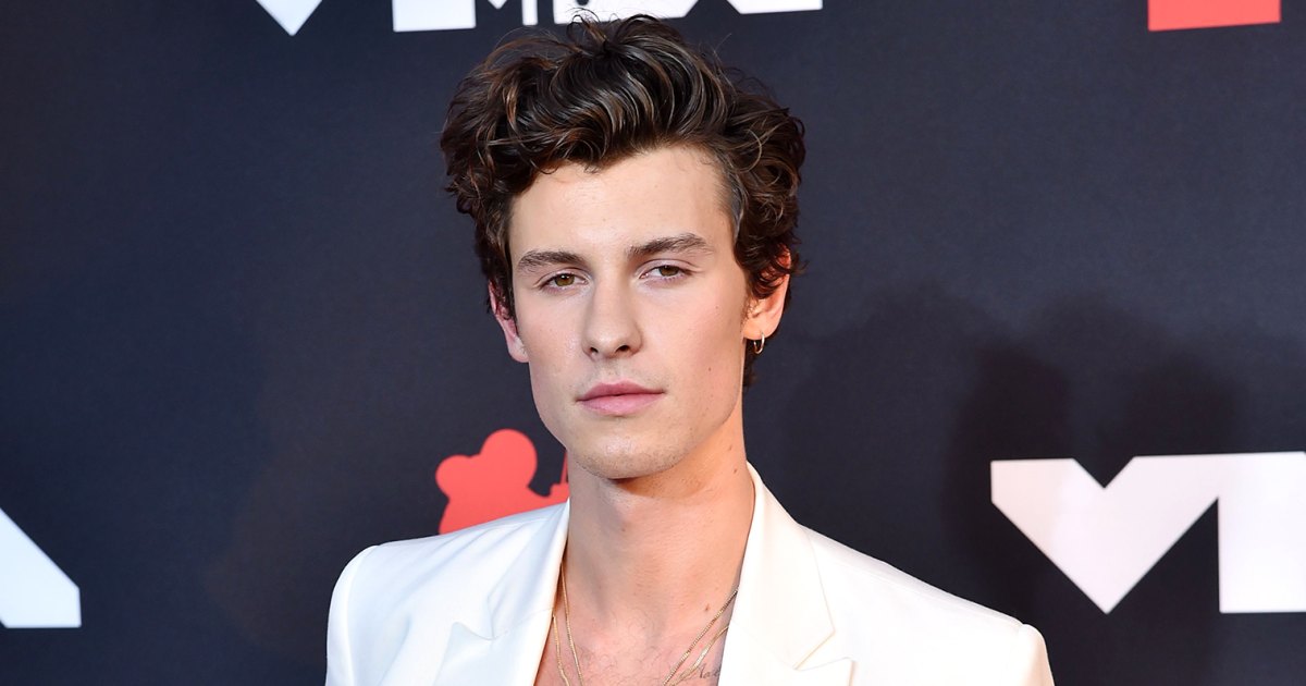 Shawn Mendes Says It's 'Hard' to Be True Self, Feels 'Overwhelmed'