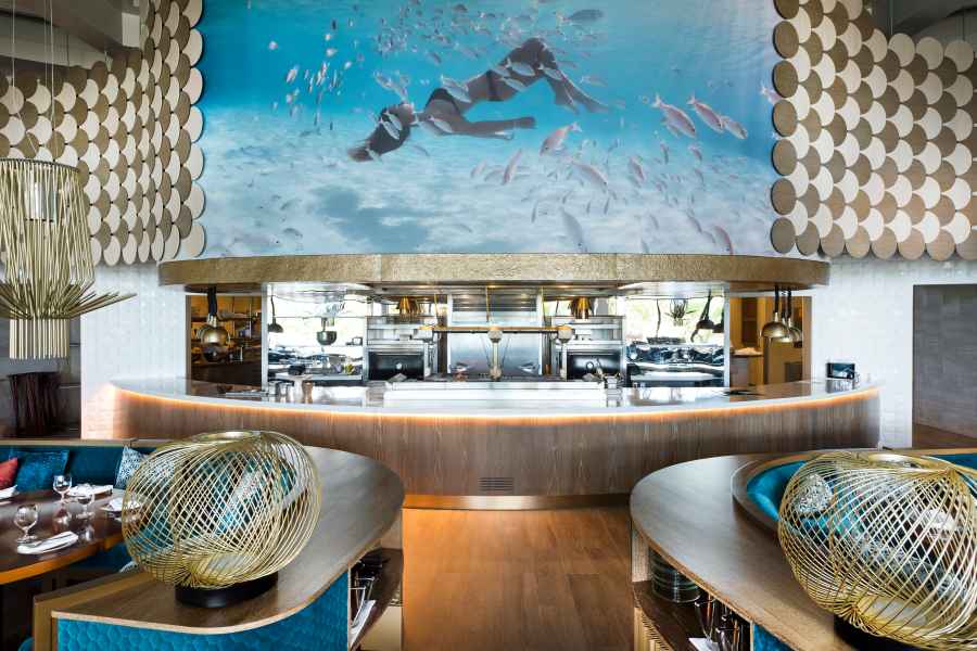 Atlantis Paradise Island Is a Celebrity Hot Spot! Take a Tour Inside the Gorgeous Resort