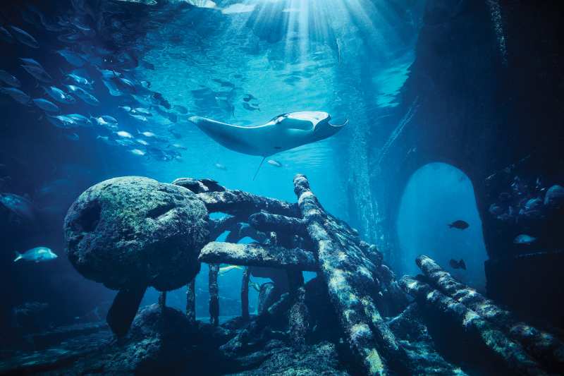 Atlantis Paradise Island Is a Celebrity Hot Spot! Take a Tour Inside the Gorgeous Resort