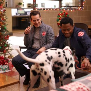 Chicago Fire Cast Heartbroken After Firehouse Dalmatian Tuesday Dies