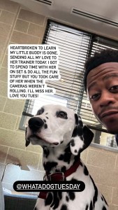 Chicago Fire Cast Heartbroken After Firehouse Dalmatian Tuesday Dies