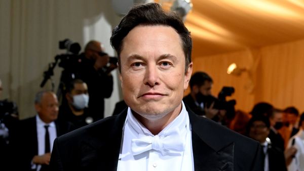 Elon Musk Reacts to Allegation That He Exposed Himself to Flight Attendant