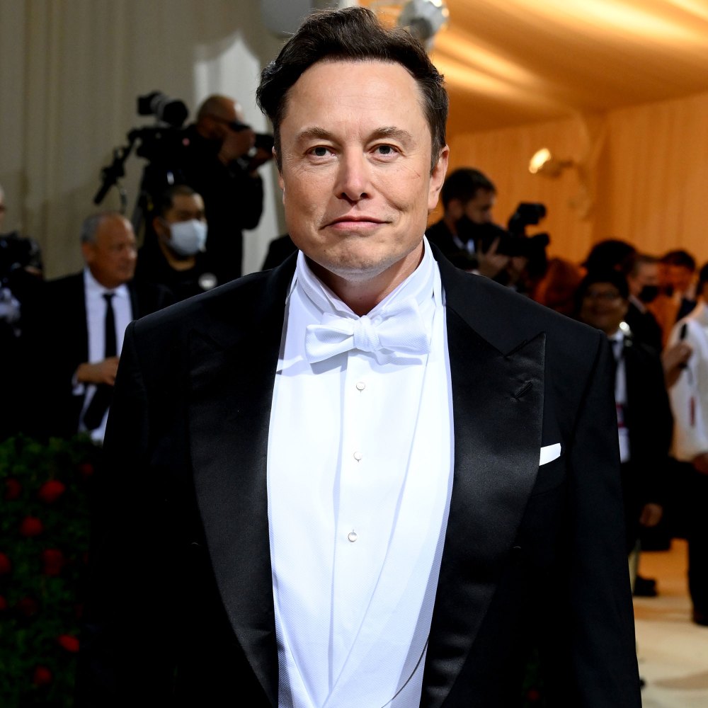 Elon Musk Reacts to Allegation That He Exposed Himself to Flight Attendant