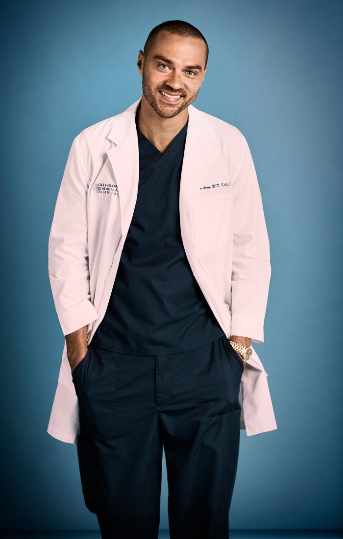 Grey's Anatomy's Jesse Williams Teases Jackson and April's Return 4