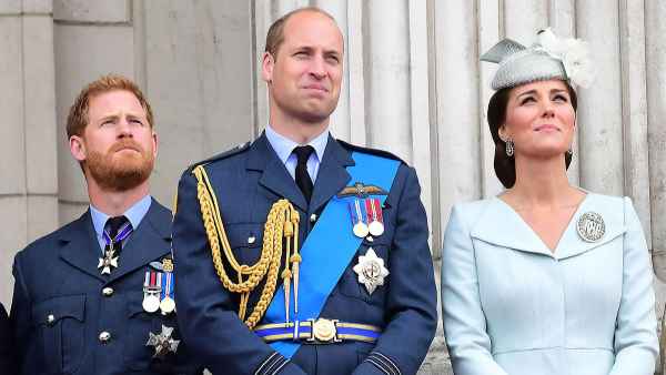 Prince Harry Misses Prince William and Duchess Kate's Children Very Much After California Move