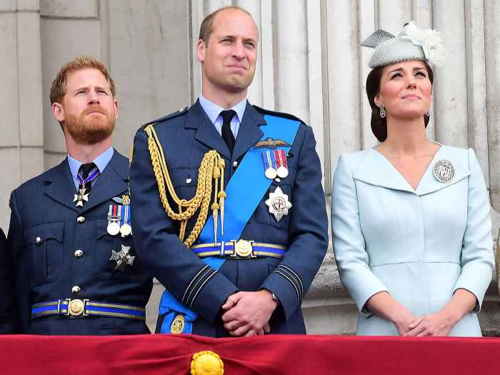 Prince Harry Misses Prince William and Duchess Kate's Children Very Much After California Move