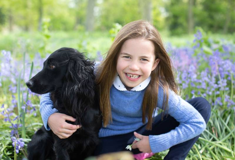 Princess Charlotte Is All Grown Up in 7th Birthday Portrait 3