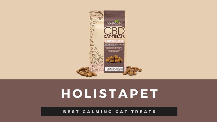 best-calming-cat-treats-holista-pet