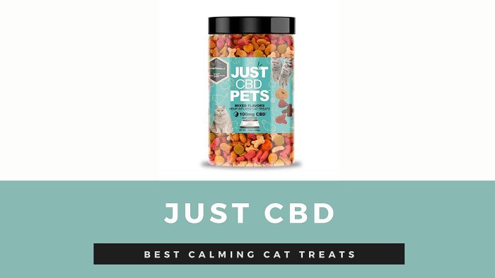 best-calming-cat-treats-just-cbd