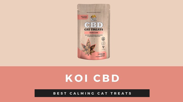 best-calming-cat-treats-koi-cbd