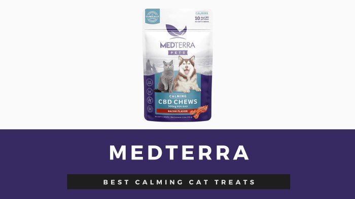 best-calming-cat-treats-medterra