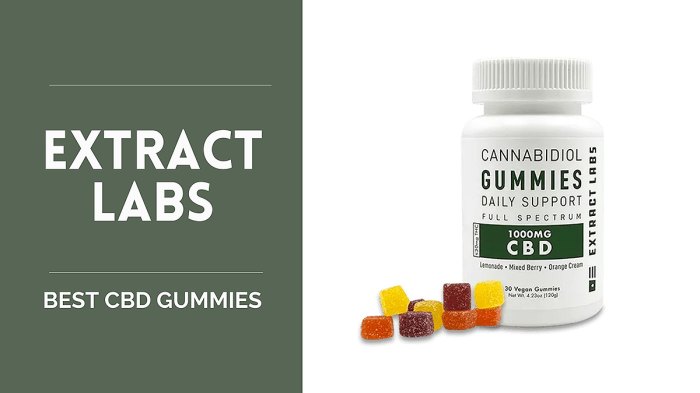 Best CBD Gummies - US Weekly