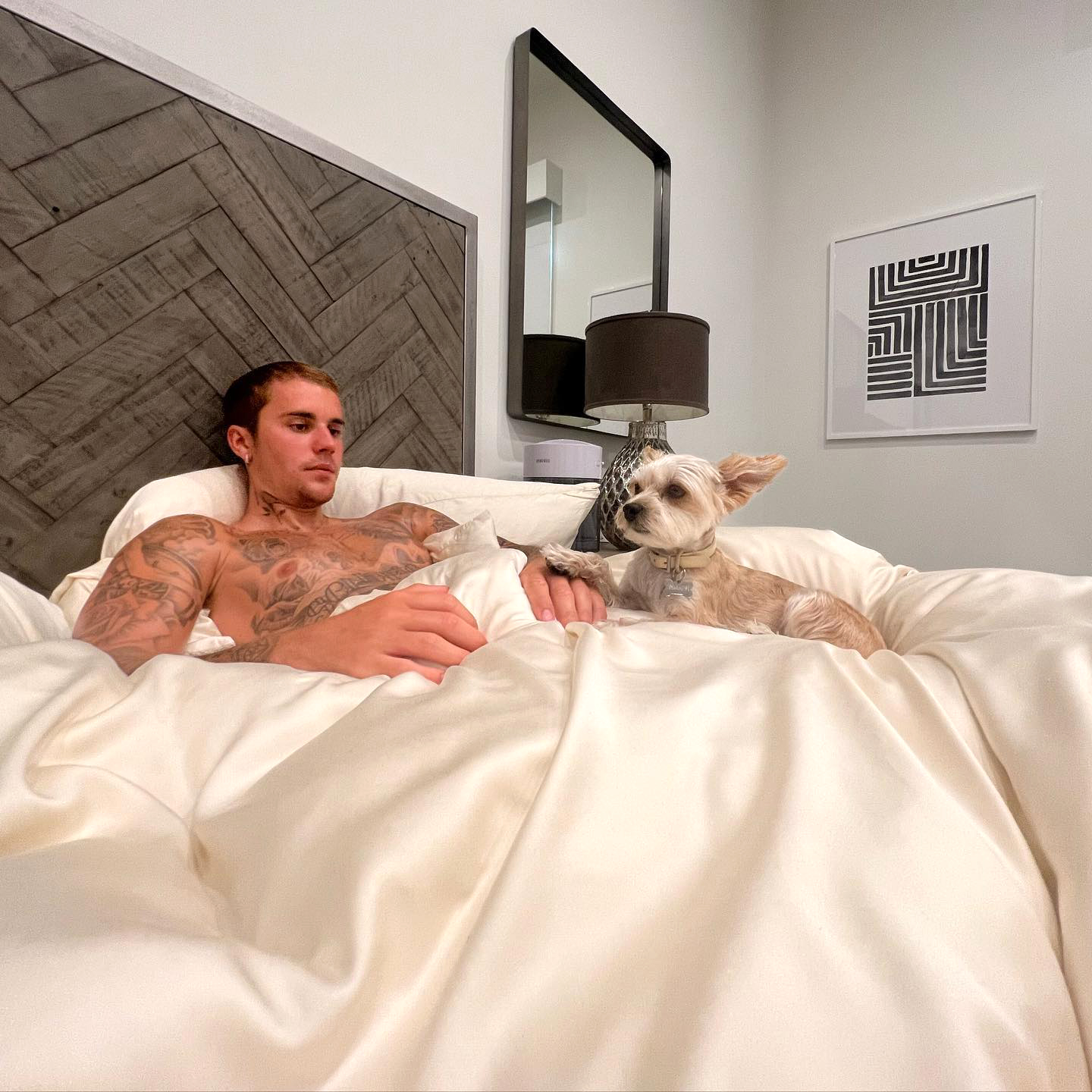 Bed Snuggles! Justin Bieber and More Celebs Pose With Their Pets