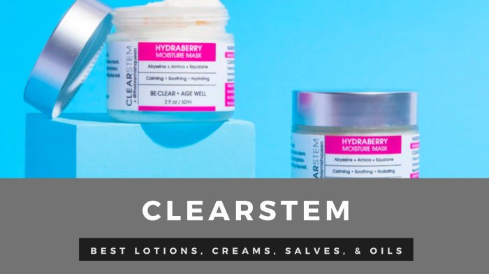 Clearstem HYDRABERRY Moisture Mask