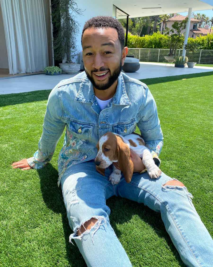 Hottest Celebrity Hunks Cuddling With Their Cutest Pet Puppies