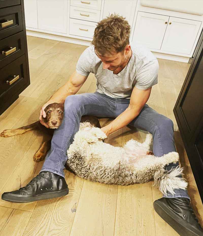 Hottest Celebrity Hunks Cuddling With Their Cutest Pet Puppies