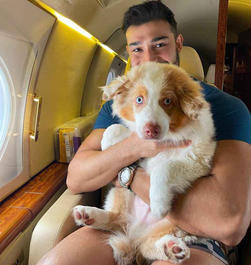 Hottest Celebrity Hunks Cuddling With Their Cutest Pet Puppies