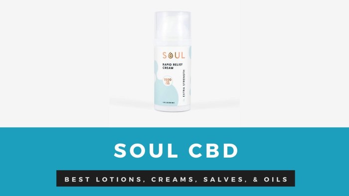 Soul CBD Rapid Relief Cream