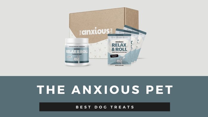 the-anxious-pet
