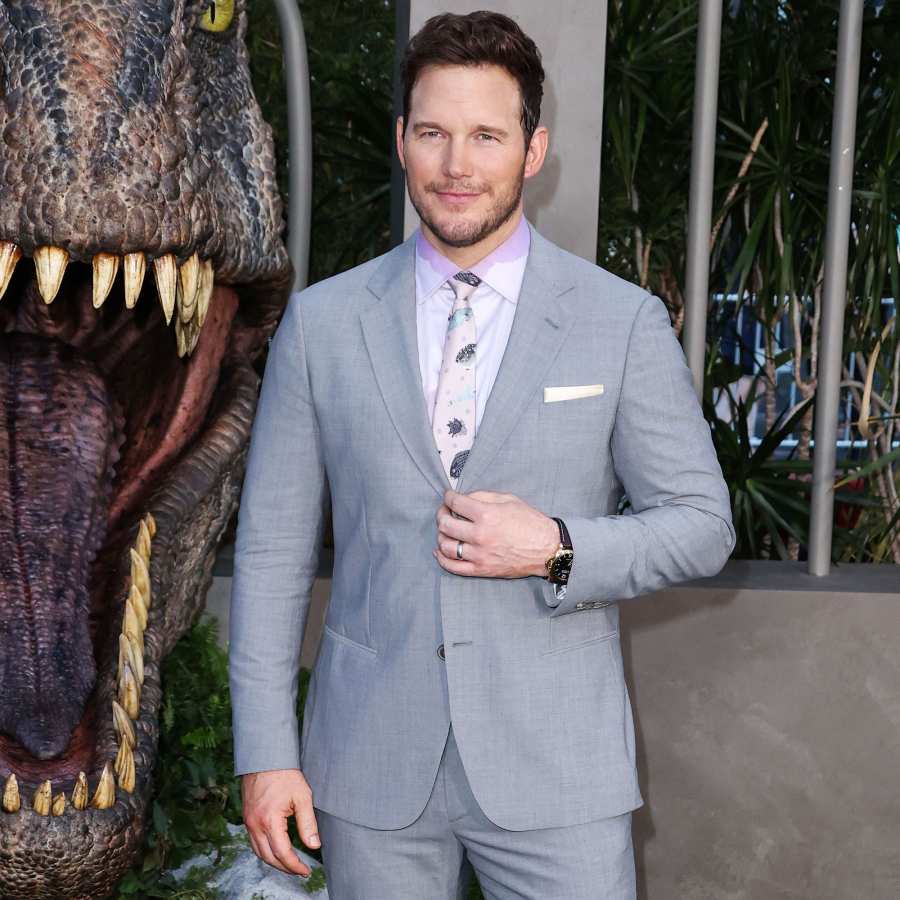 Chris Pratt Gushes Over Katherine Schwarzenegger Maternal Instincts