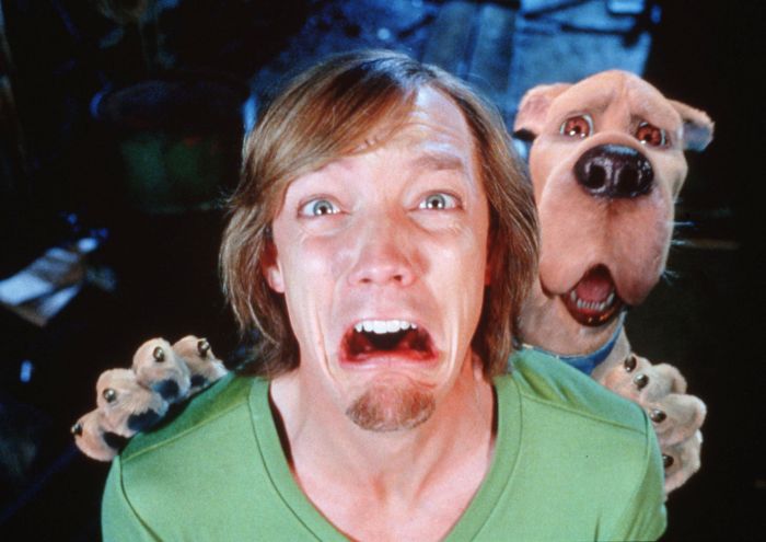 Matthew Lillard Can't Imagine Reprising Scooby-Doo Shaggy 3