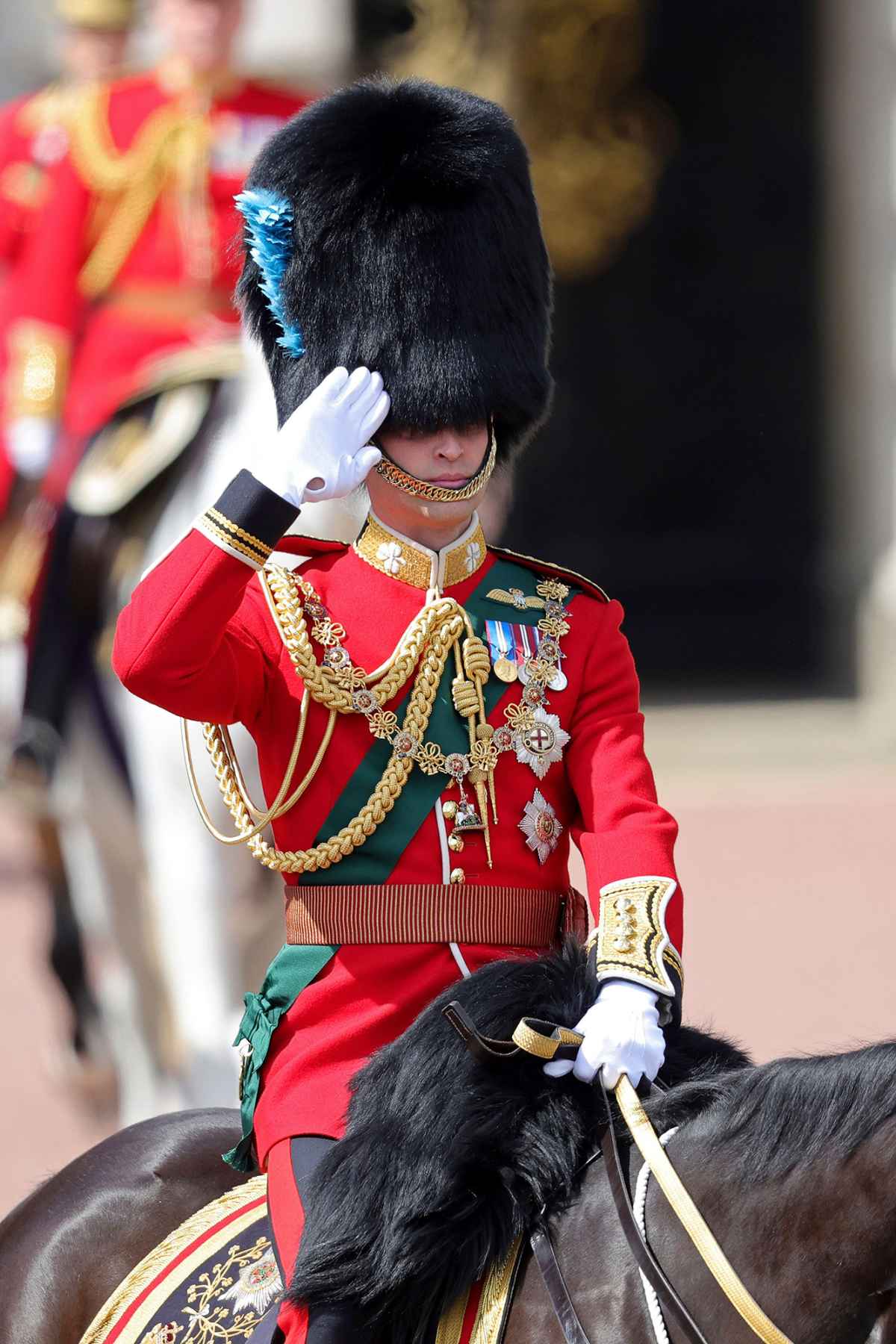 Prince Charles, Prince William Receive Salute at Trooping the Colour ...