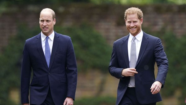 Prince William Doesn't Know Who Prince Harry Is Anymore Amid Irreparable Relationship
