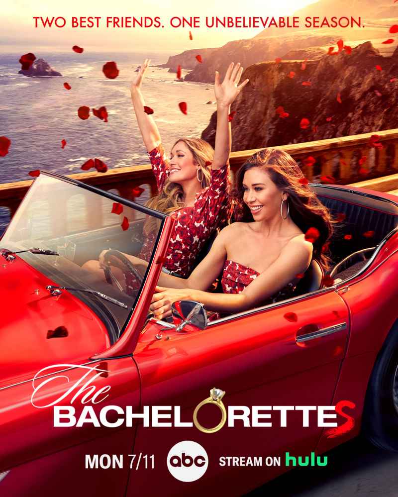 Wildest Bachelor and Bachelorette Posters and Taglines