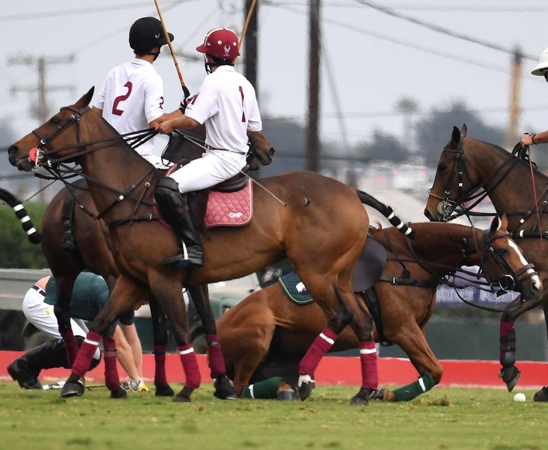 Yikes Prince Harry Falls Off His Horse During Polo Match Pics