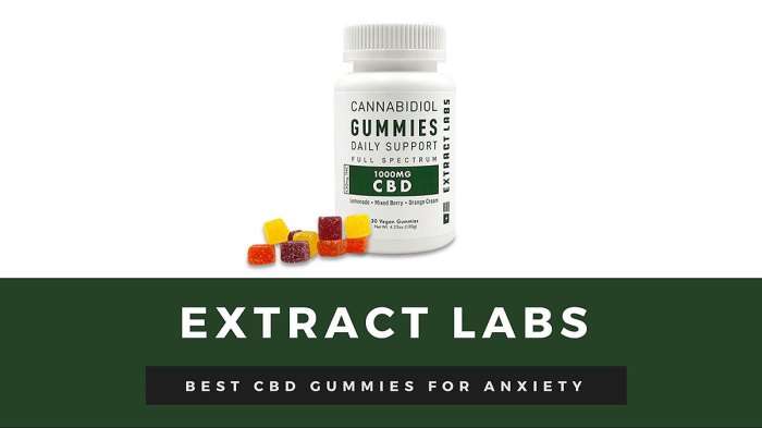revoffers-cbd-gummies-for-anxiety-extract-labs