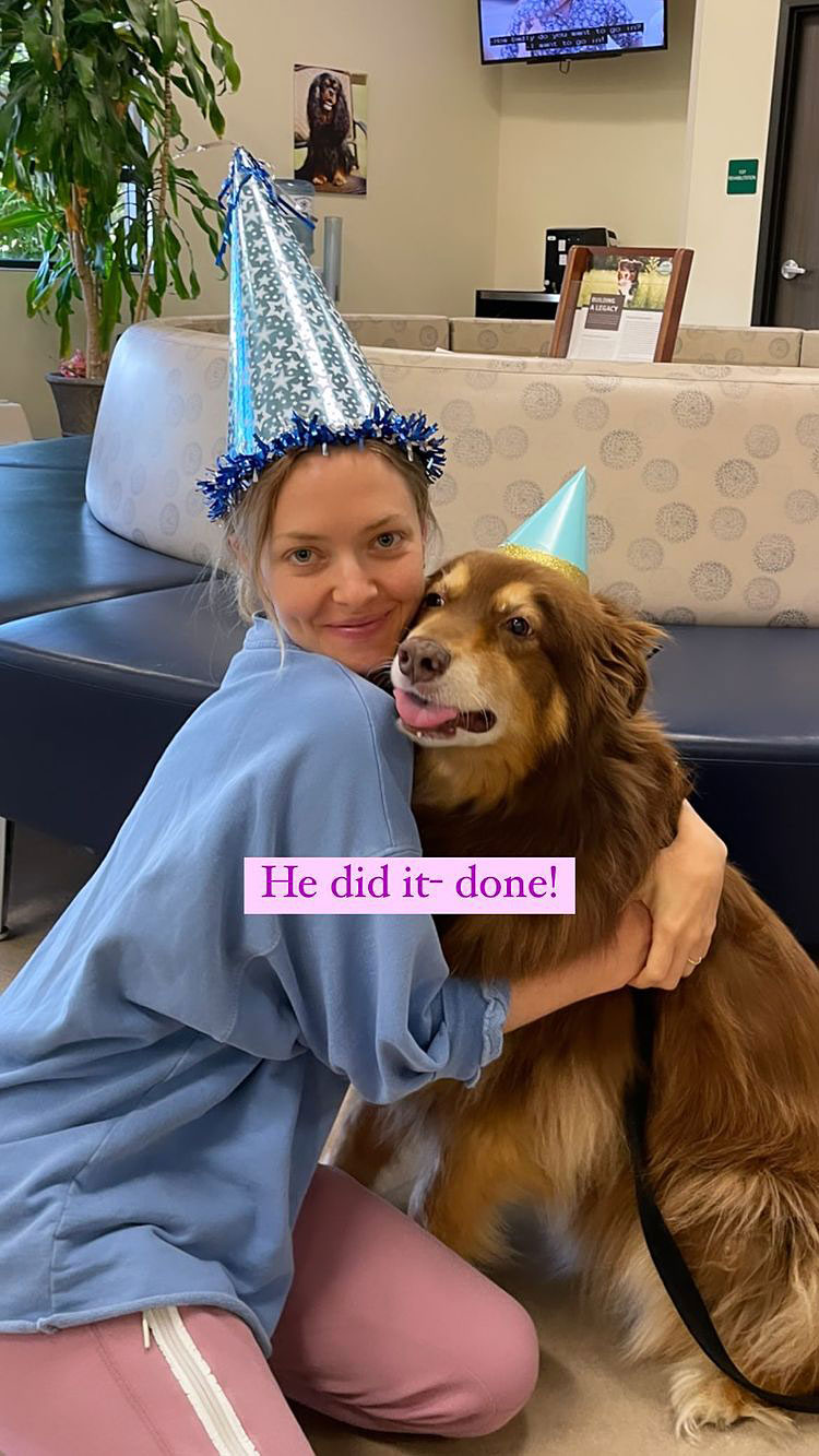 Amanda Seyfried Celebrates Her Dog Finn's Final Chemotherapy Session After Tumor
