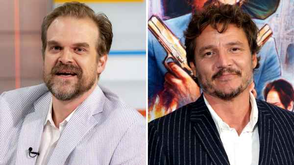 David Harbour's New Series 'My Dentist's Murder Trial': Everything to Know