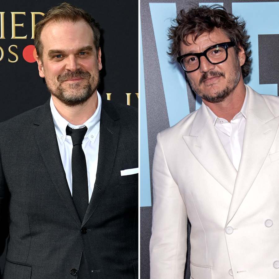 David Harbour's New Series 'My Dentist's Murder Trial': Everything to Know