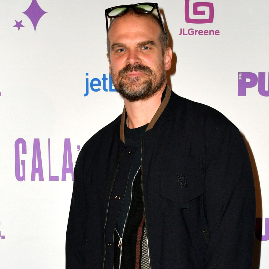 David Harbour's New Series 'My Dentist's Murder Trial': Everything to Know