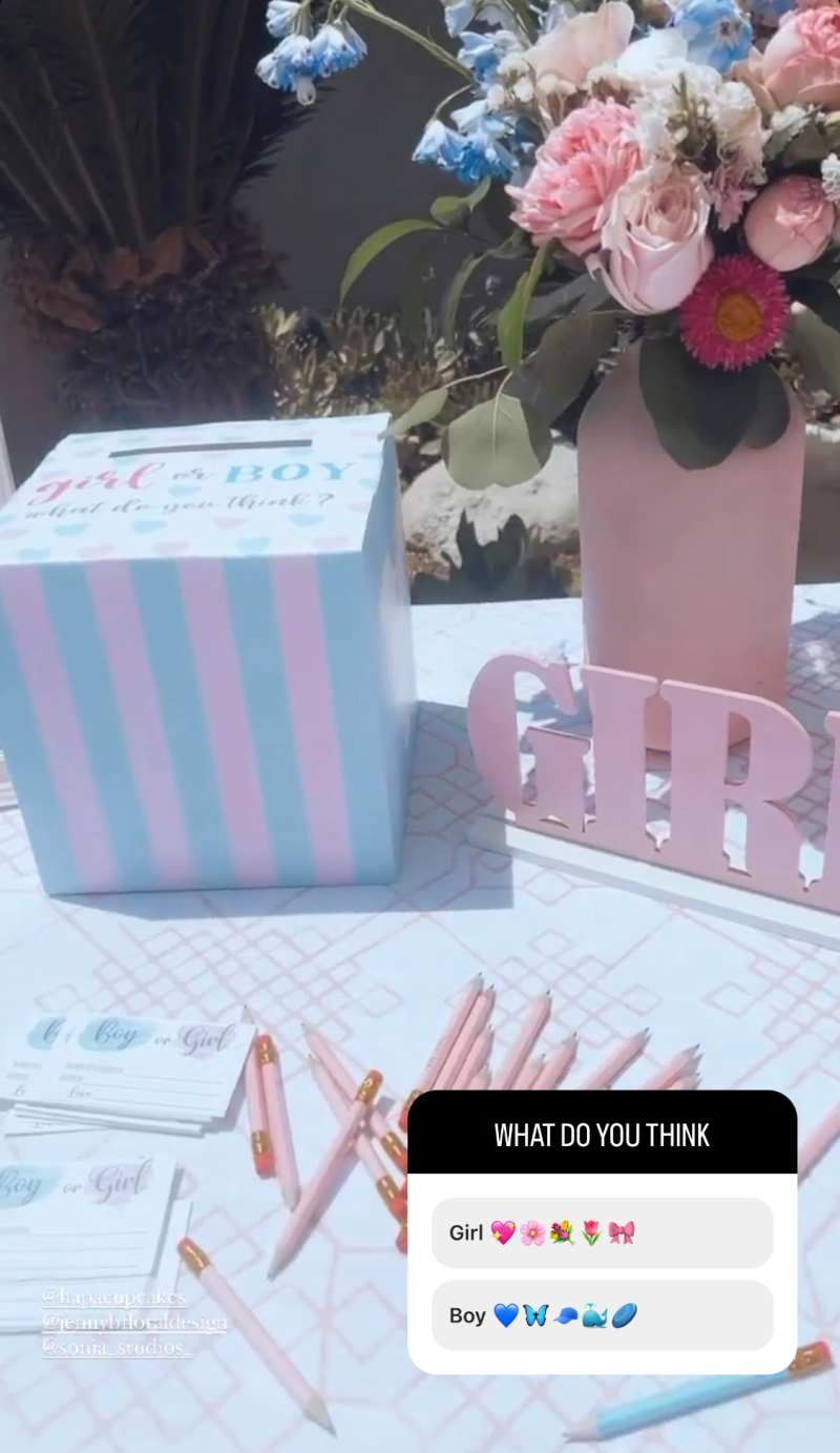 Heather Rae Young Gender reveal decor