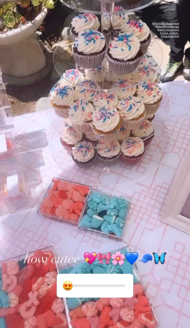 Heather Rae Young and Tarek El Moussa's gender reveal desserts