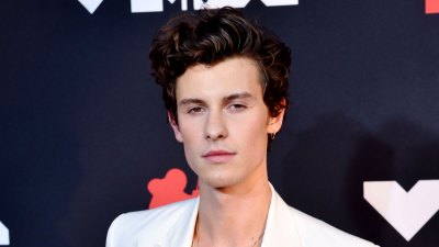 Everything Shawn Mendes has said about his mental health struggles