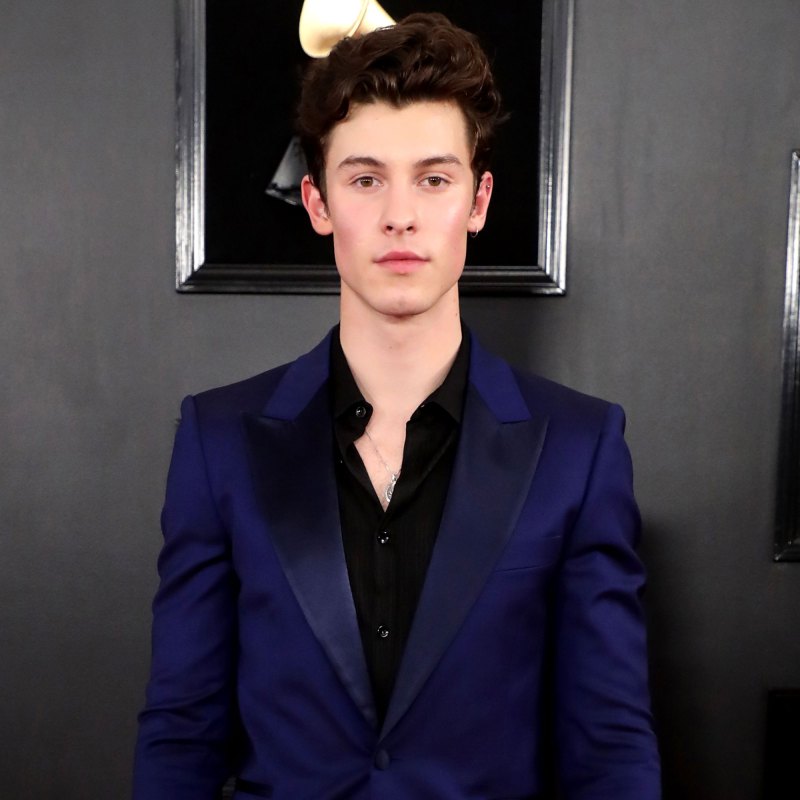 Everything Shawn Mendes Has Said About His Mental Health Battle