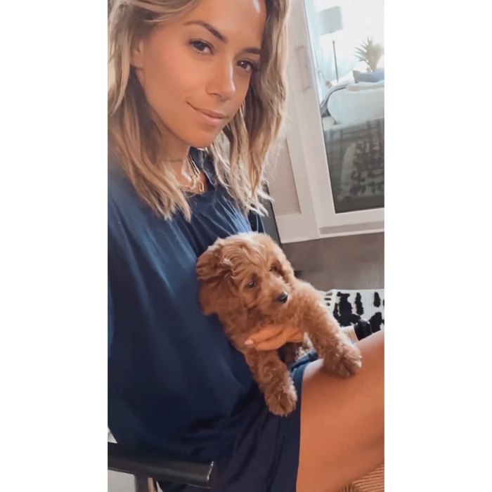 Jana Kramer Jokes Her New Dog Is the ‘New Man in My Life’