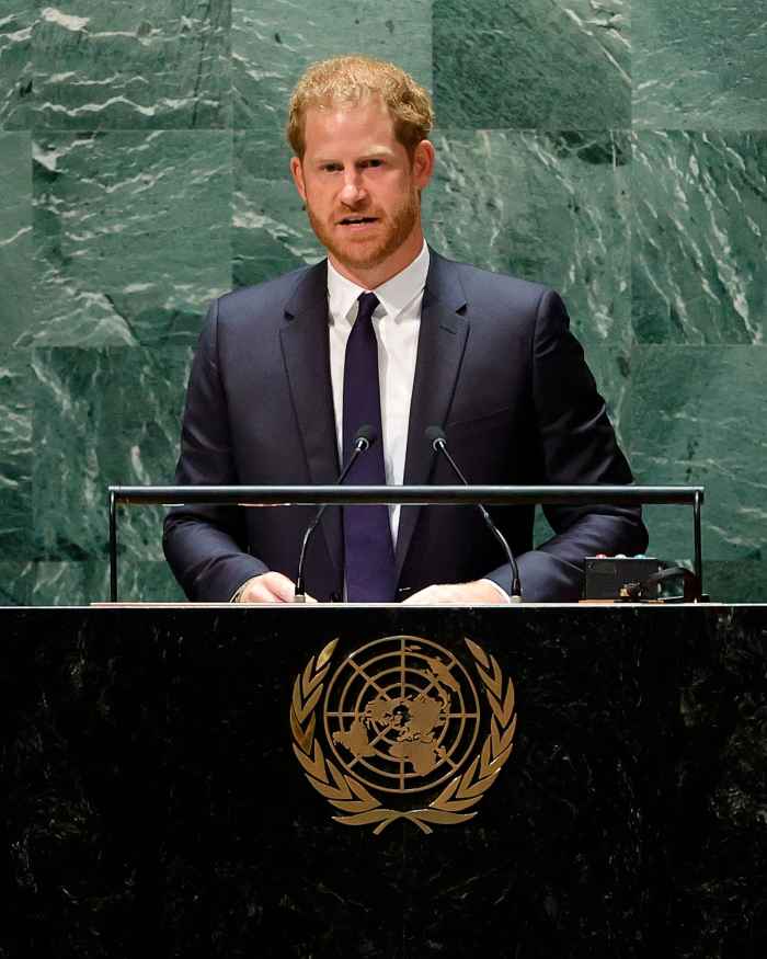 Prince Harry Is Not ‘Qualified’ to Speak at the United Nations, Royal Expert Jonathan Sacerdoti Claims