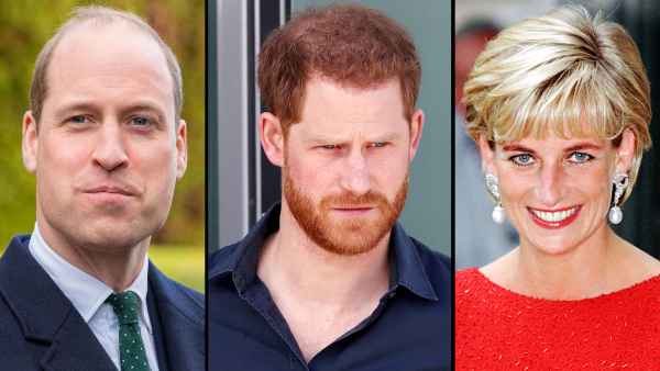 Prince William, Prince Harry Honor Late Princess Diana on Her 61st Birthday