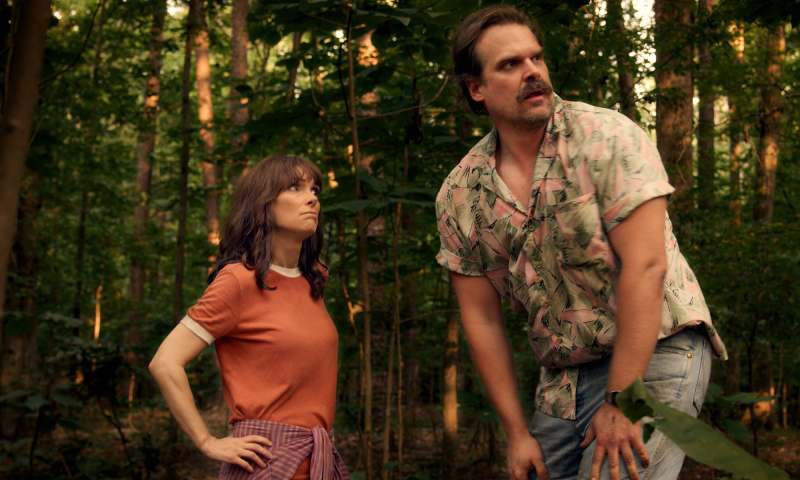 Winona, David's Sweetest Quotes About Working Together on 'Stranger Things'