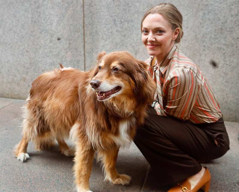 Bonding on Set! Amanda Seyfried, More Stars Cuddle With Pets While Filming