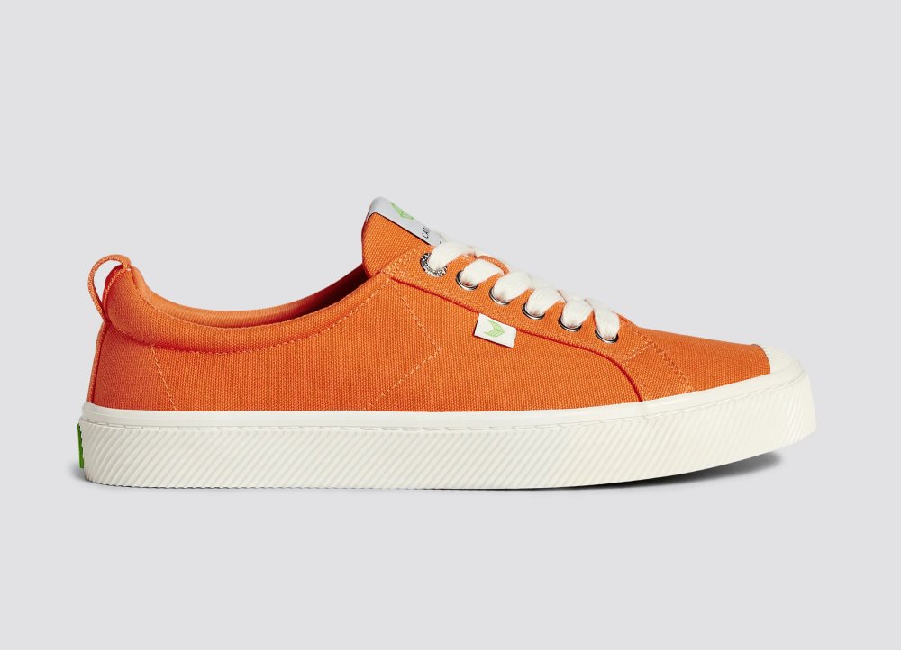 Back in Stock! Shop These Sustainable Sneakers Before They Sell Out ...